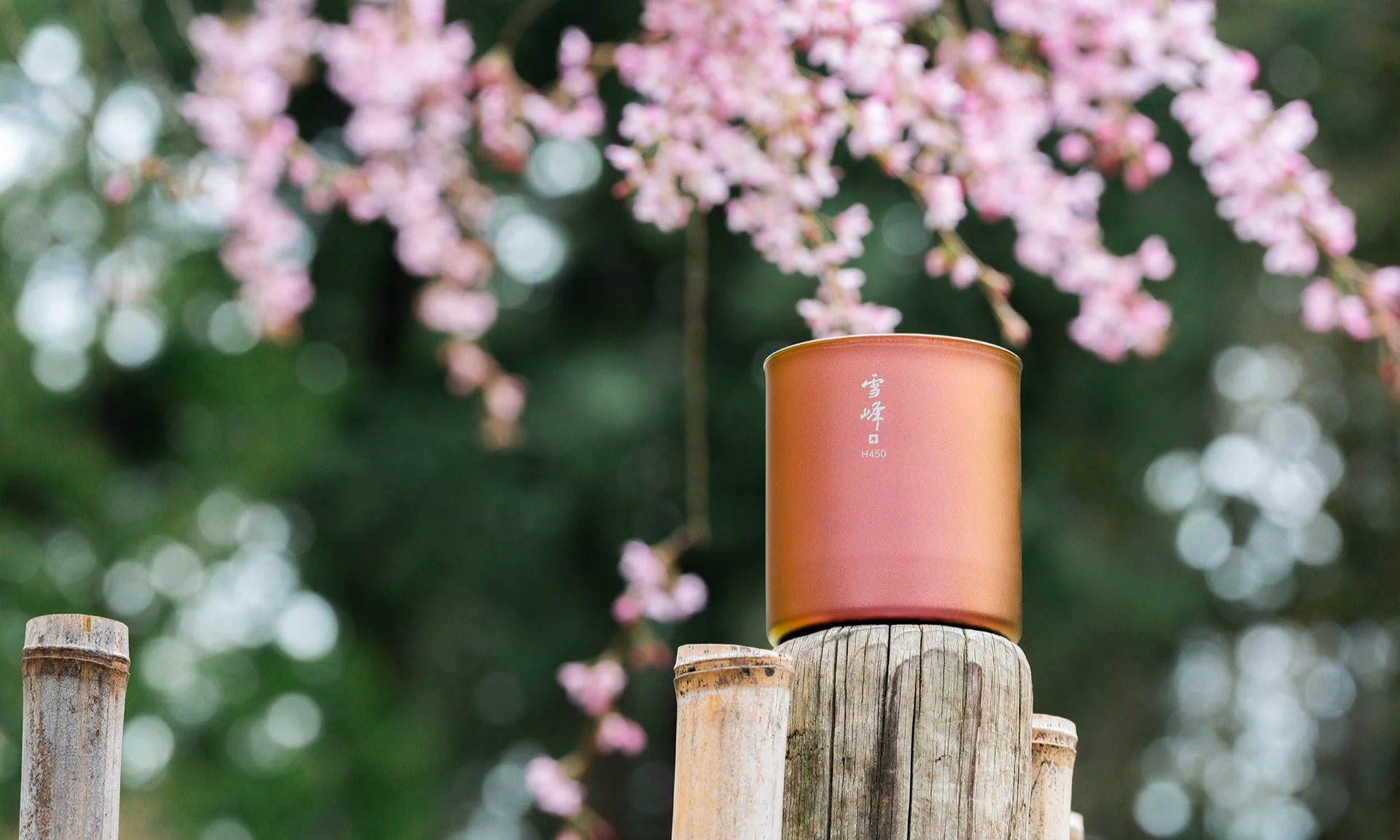 Elevate Your Outdoor Sanctuary