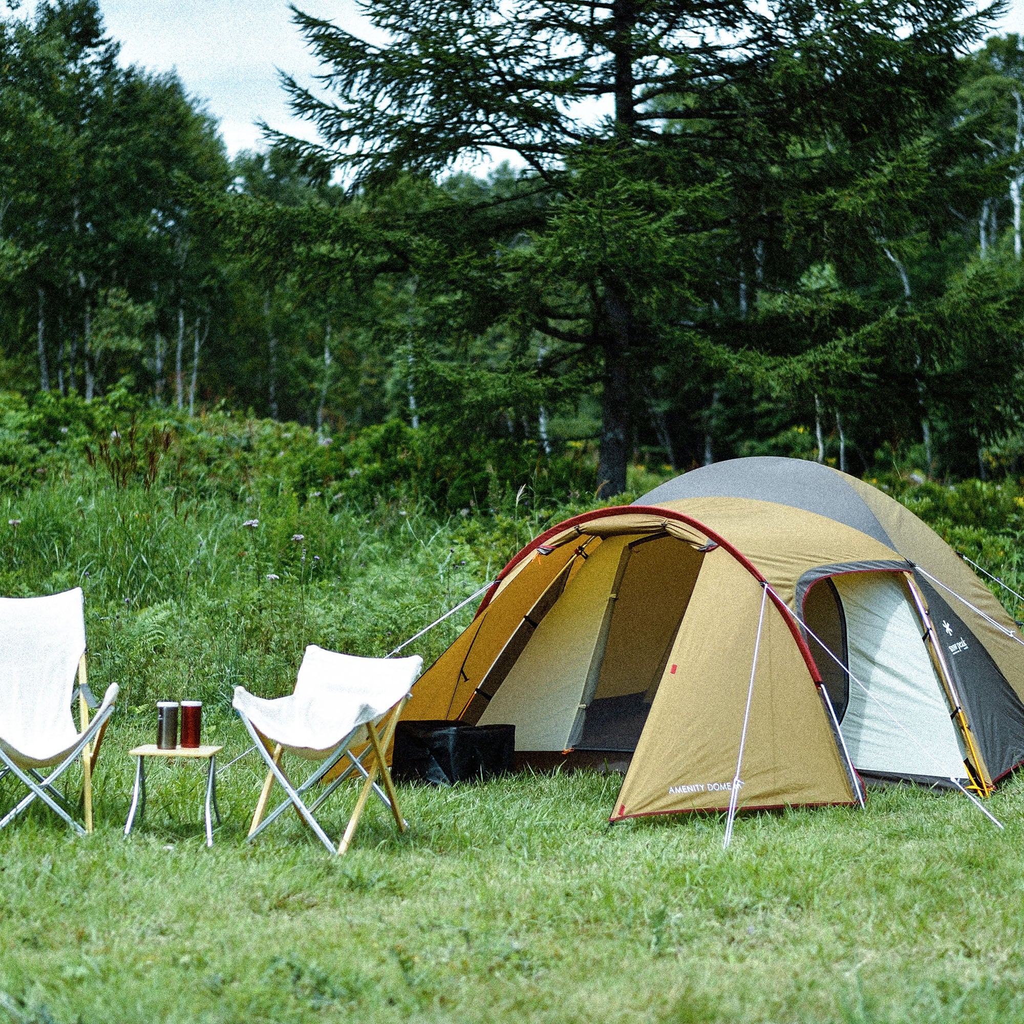 Amenity Dome M - Image 4