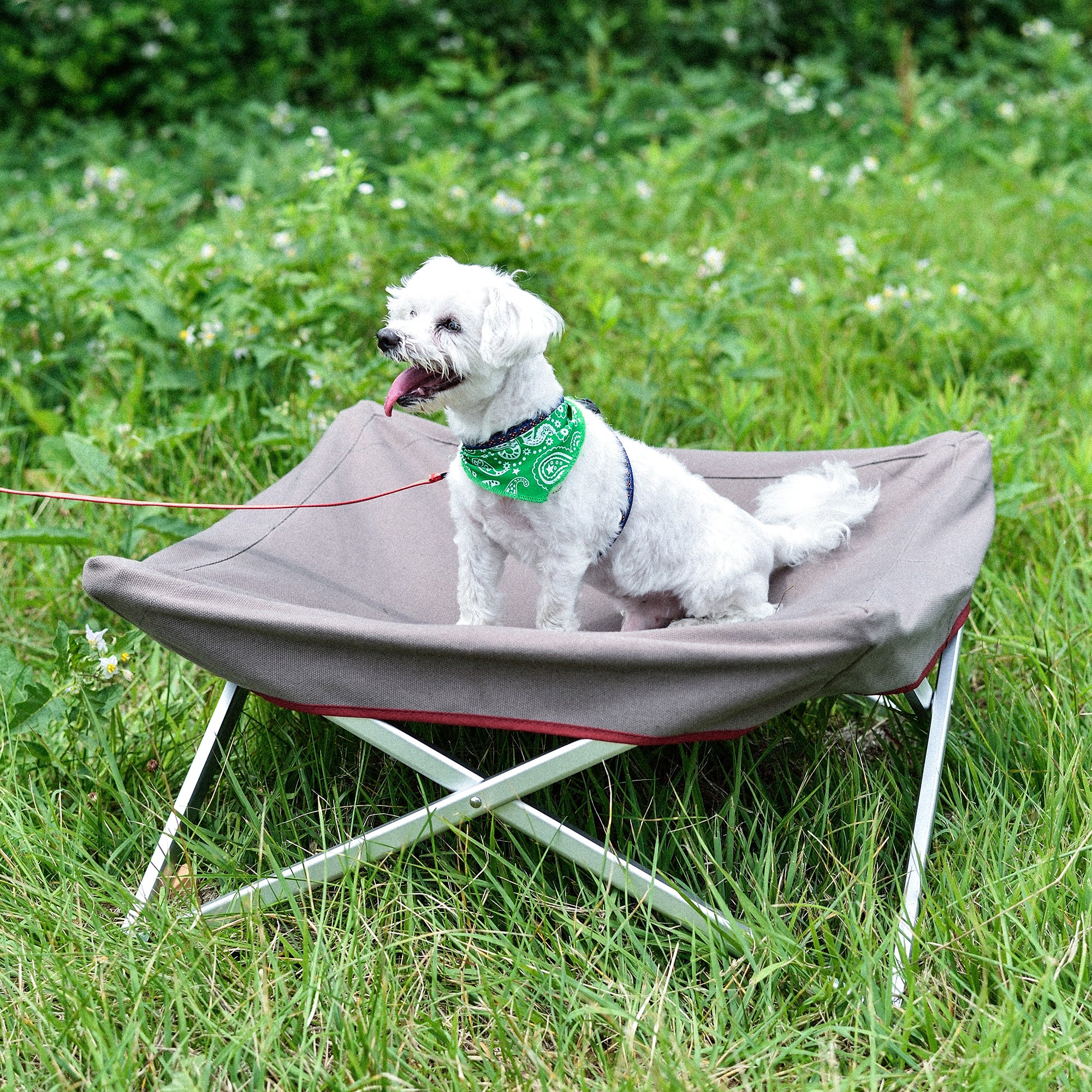 Dog Cot - Image 9