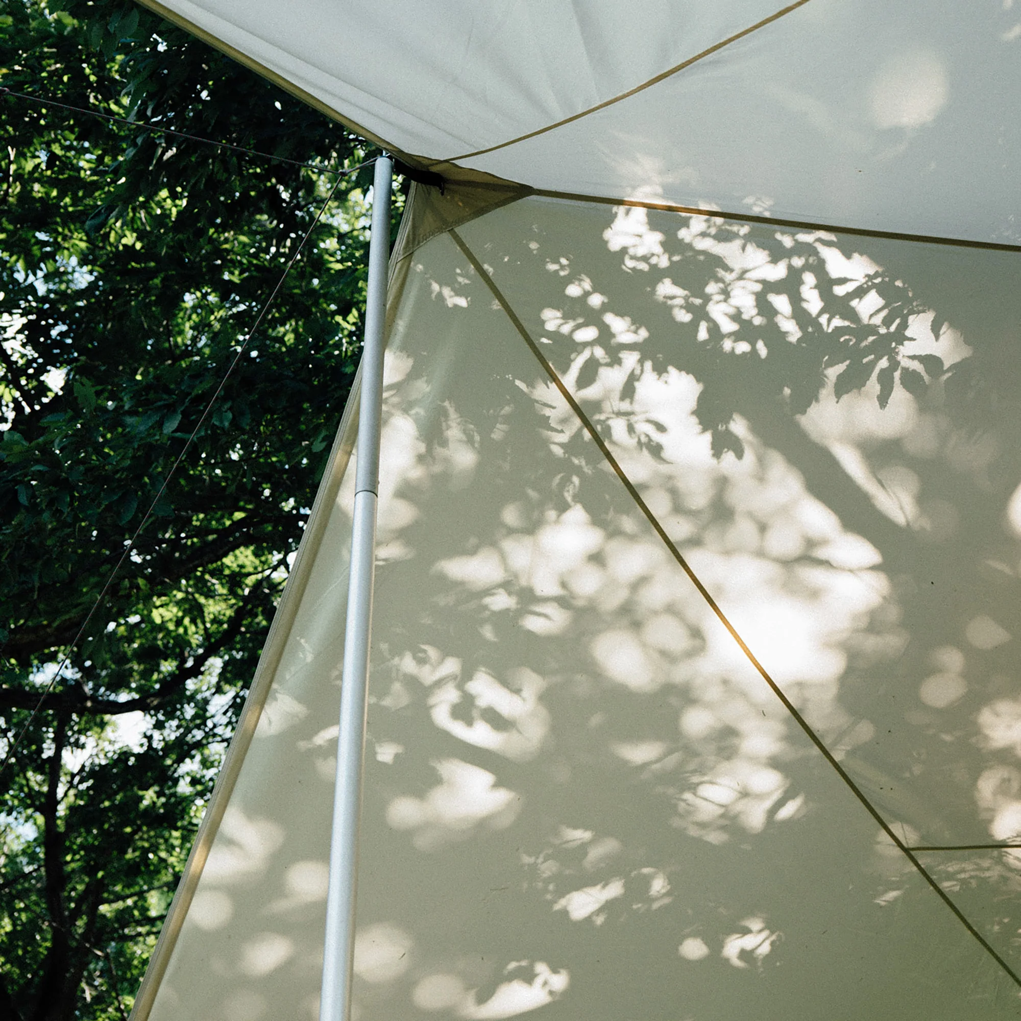 HD Tarp Hexa Evo Pro. in Ivory - Image 5