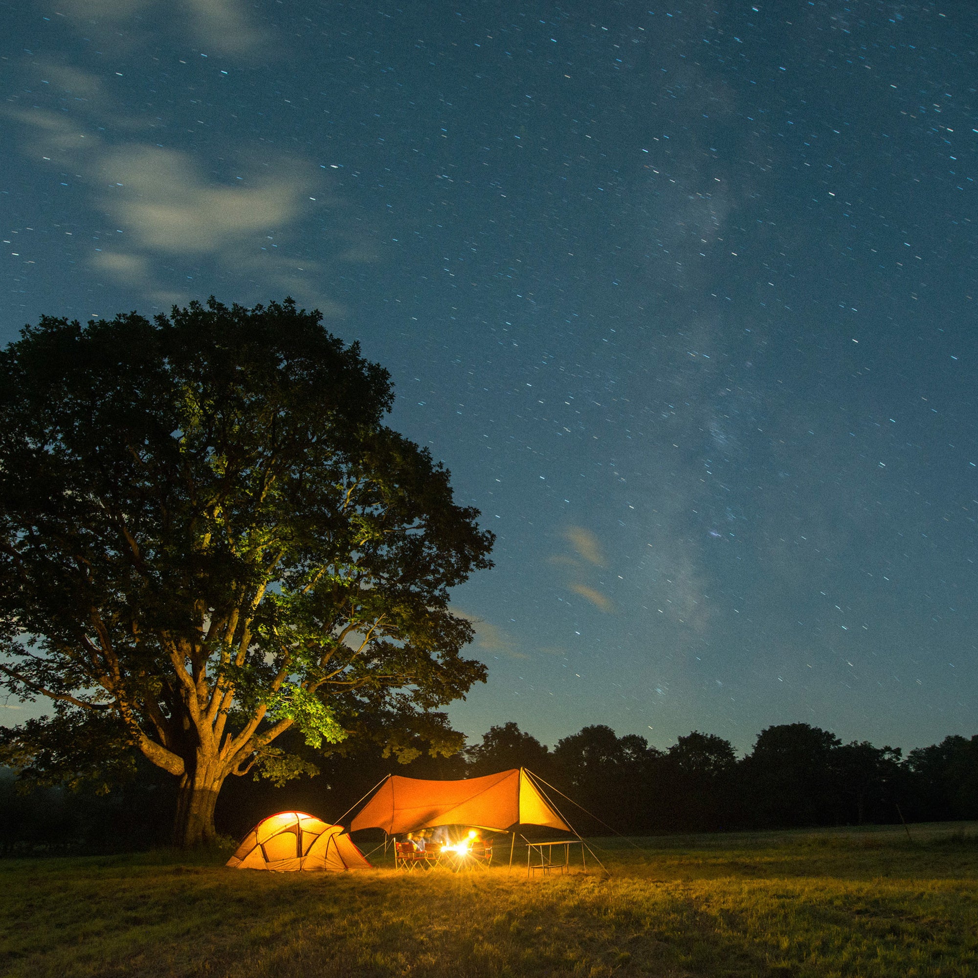 HD Tarp Shield Hexa Evo Pro. - Image 4