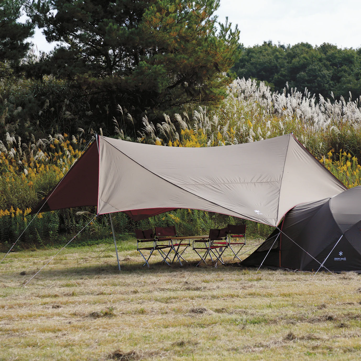 HD Tarp Shield Hexa Evo Pro. - Image 8