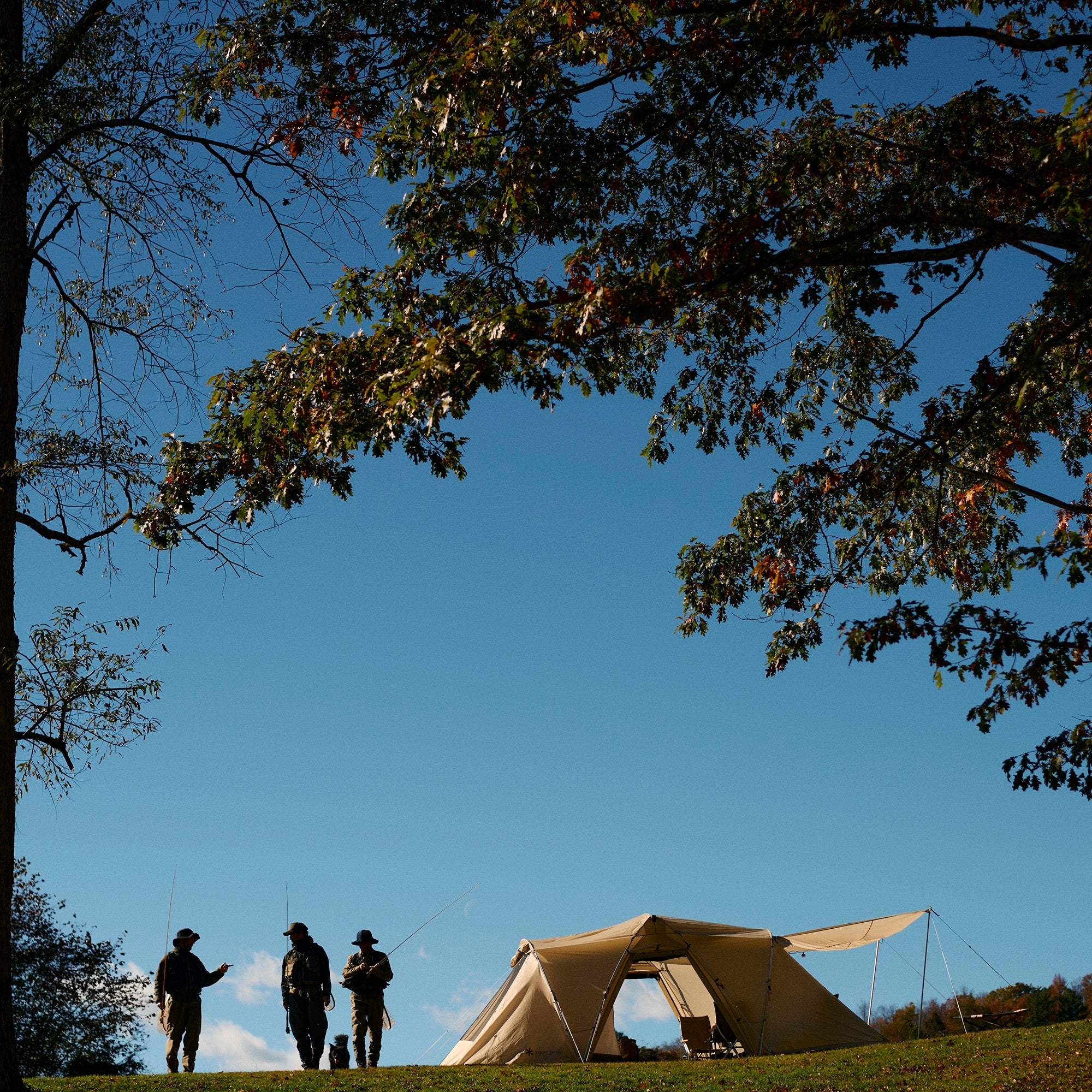 Land Nest Shelter in Ivory - Image 19