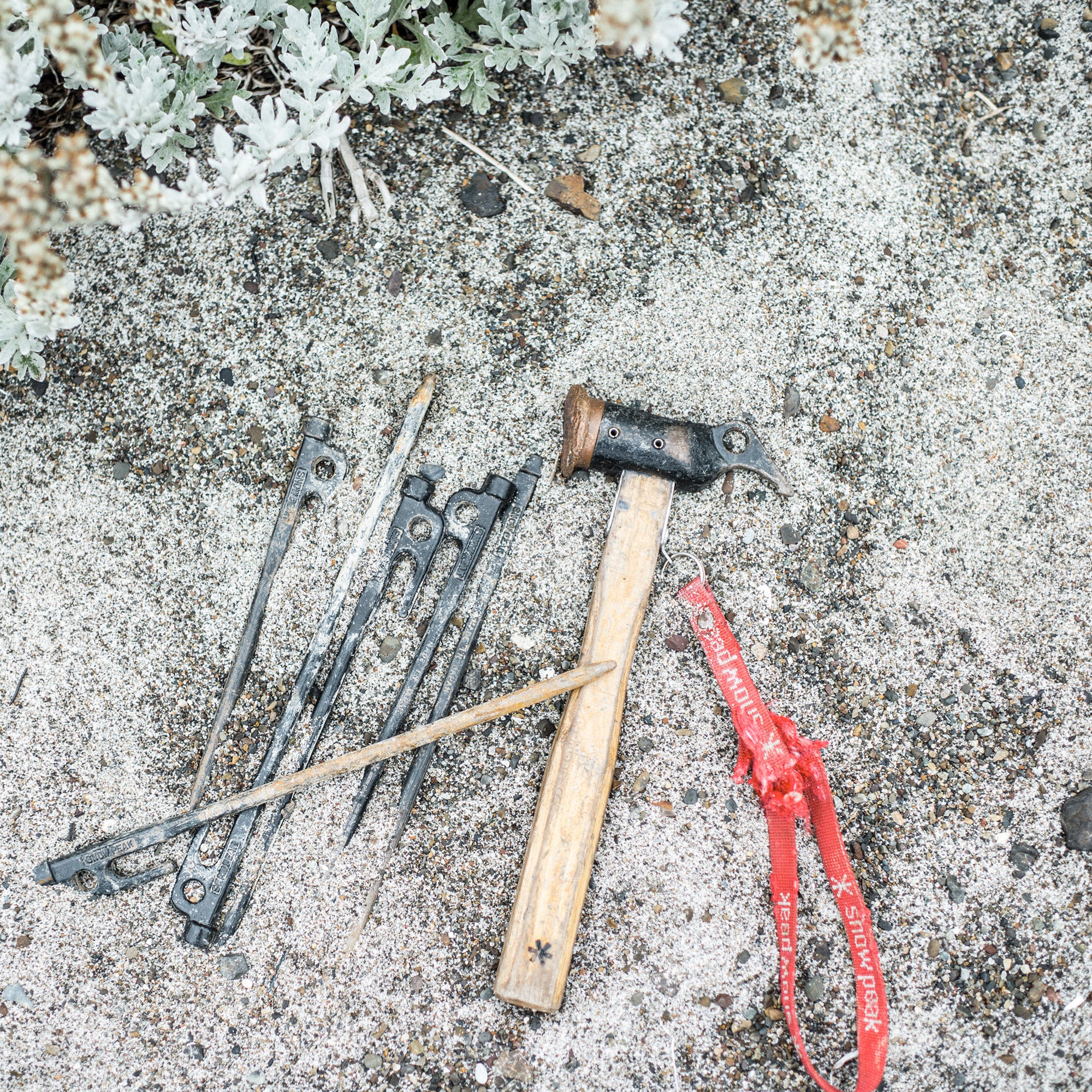 Solid Stakes - Image 4